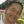 Putra Matahari