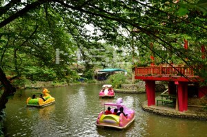 wahana wisata air paddle-boat-taman-wisata-matahari