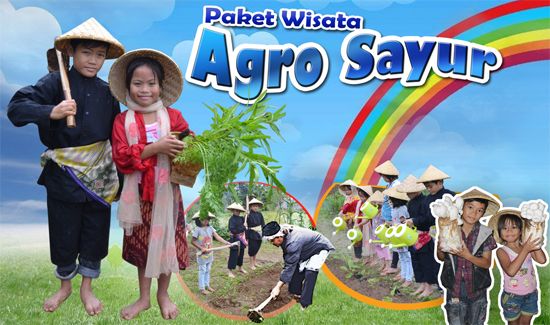 paket-wisata-edukasi-agro-agrosayur