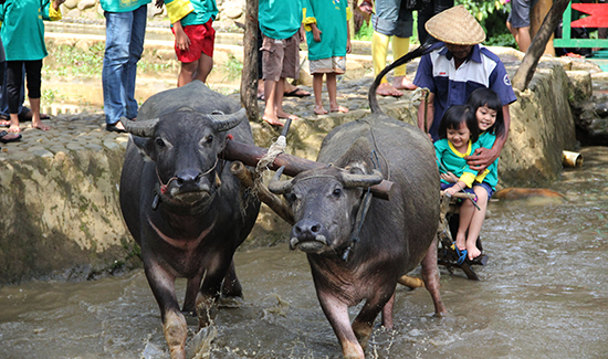 Wahana Wisata Edukasi | Taman Wisata Matahari