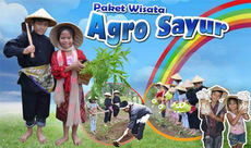 paket-agro-sayur-taman-wisata-matahari