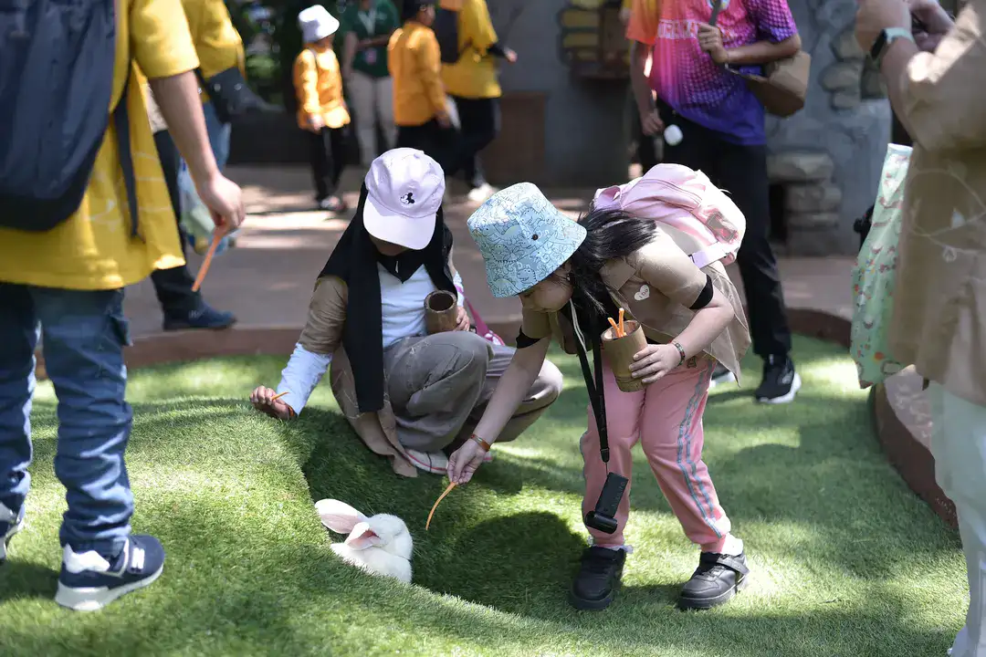 animal show 